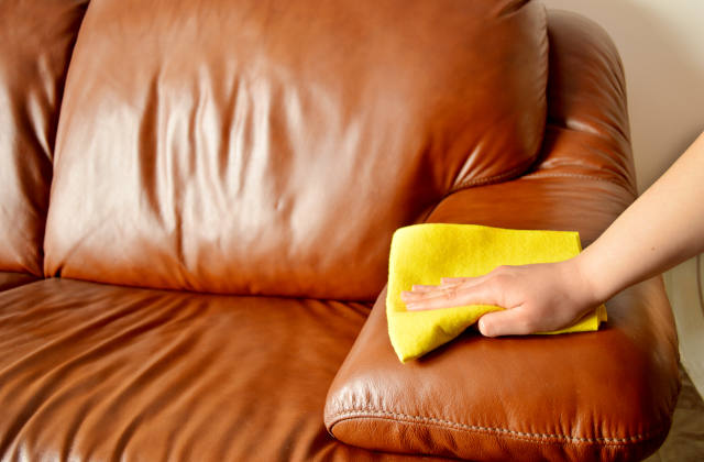 leather sofa smells like urine