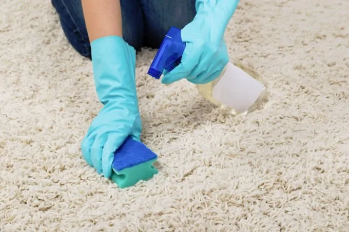 Carpet and rug cleaning and care