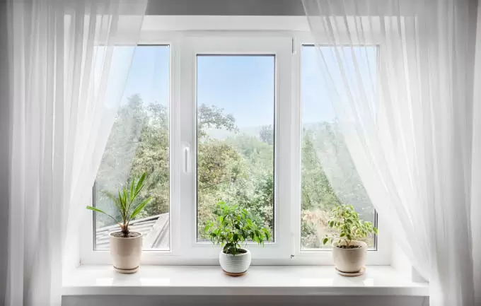 Window with white tulle and potted plants on windowsill. View of nature from the window